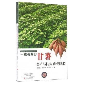 【正版包邮】 一本书明白甘薯高产与防灾减灾技术 杨国红,杨育峰,肖利贞 编 中原农民出版社
