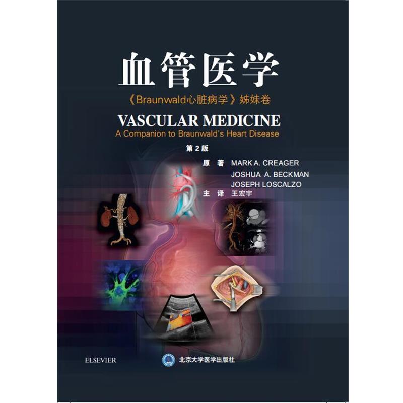 【正版包邮】 血管医学 王宏宇 北京大学医学出版社