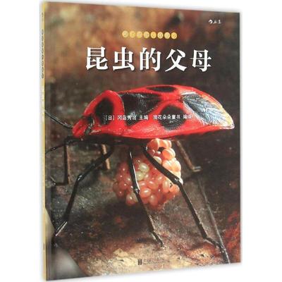 【正版包邮】 我们去找小昆虫5:昆虫的父母 [日]冈岛秀治 北京联合出版公司