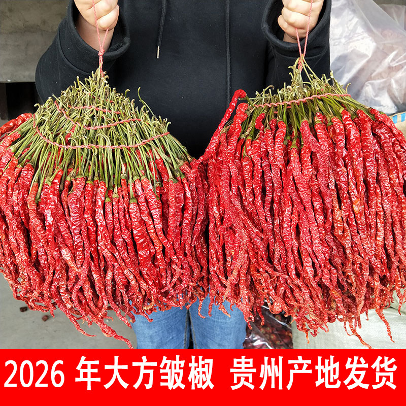特香贵州大方特产皱椒肉厚二荆条
