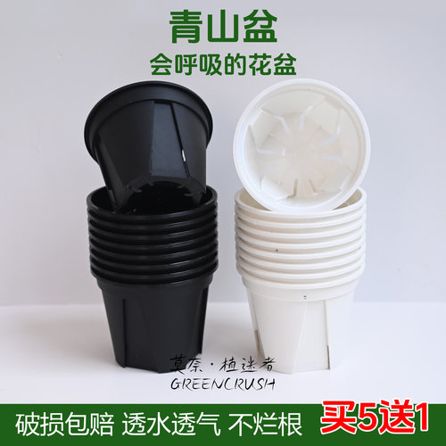 白色青山盆控根种植帮手