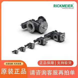德国RICKMEIER瑞克梅尔齿轮泵R45/80 FL-Z-DB16-W- SAE2-R-SO油泵