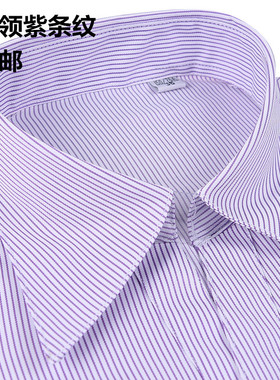 春女士长袖紫色细条纹职业衬衫银行V领修身条纹工装衬衣寸衫大码