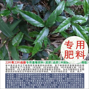 50斤三叶青专用肥料完整全套肥料家用通用农用有机肥复合肥颗粒肥