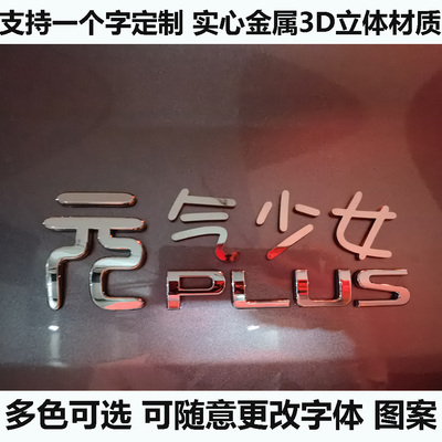 中文汉字英文贴定制改装随意更改