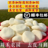 新鲜去皮马蹄荸荠精品大果削皮即食土奶茶火锅配料食材1斤 包邮