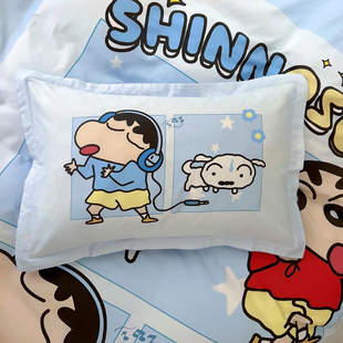 全棉可爱卡通单个枕头套和枕芯一套枕套一对装四季通用48cmx74cm