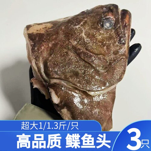 鲽鱼头新鲜冷冻鸦片鱼头