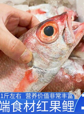 红果鲤深海鱼舟山海鲜