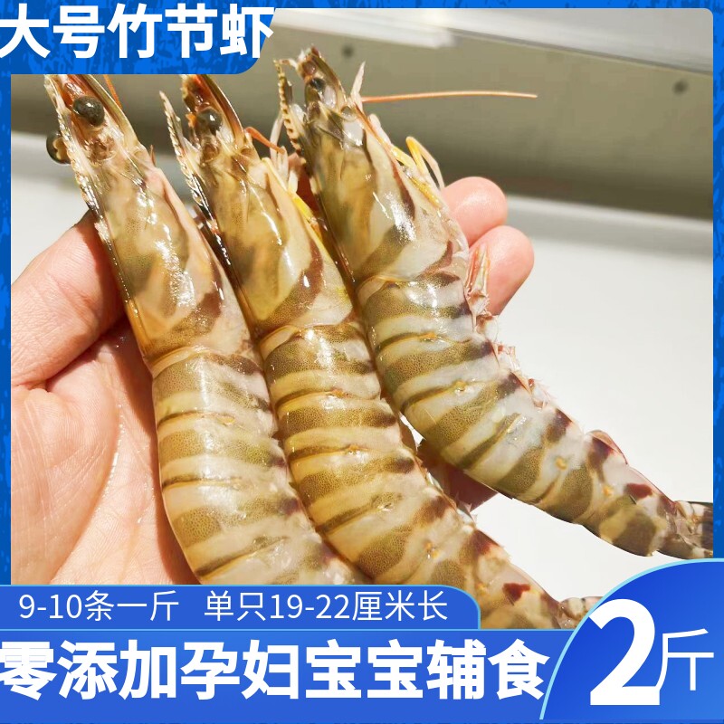 竹节虾斑节虾大虾舟山野生海虾