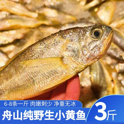 舟山野生流网海捕冰鲜小黄花鱼新鲜深海小黄鱼海鲜水产  3斤一份