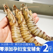 舟山海鲜九节虾竹节虾礼盒大虾鲜活速冻水产特大号海虾 基围虾2斤