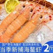 舟山海鳌虾国产新鲜鳌虾刺身虾大海鳌虾甜虾当季 新鳌虾刺身