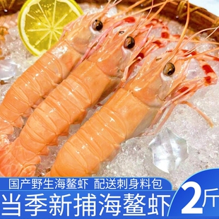 舟山海鳌虾国产新鲜鳌虾刺身虾大海鳌虾甜虾当季新鳌虾刺身