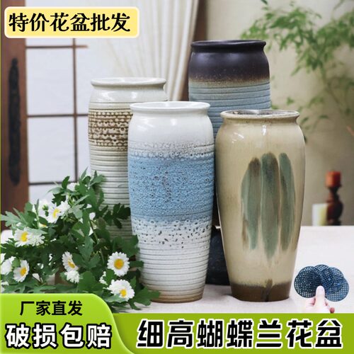 蝴蝶兰绿萝多肉花盆陶瓷批发家用