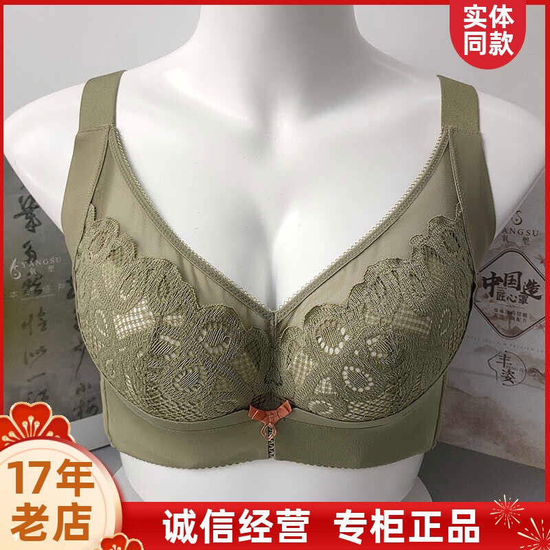 六月玫瑰文胸软钢圈四排扣bc中薄聚拢氧塑磁疗内衣女调整胸罩8252