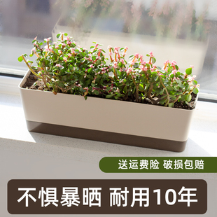 长方形花盆带托盘长条极窄边窗台绿植种花多肉园艺盆花卉简约桌面