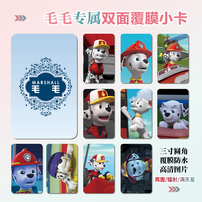 汪汪队立大功毛毛小卡片照片贴纸