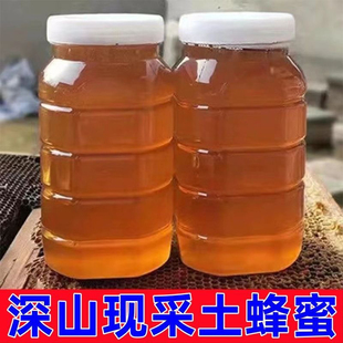 2斤装野生土蜂蜜纯正天然正宗农家自产百花蜜正品成熟蜜商用
