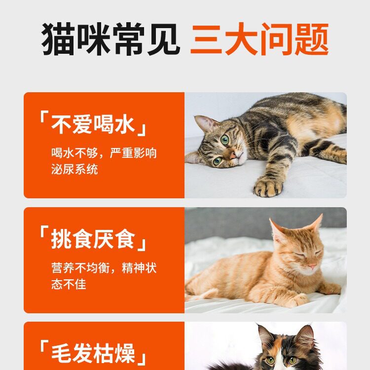 猫罐头整箱猫咪零食宠物食品猫咪湿粮补水鸡肉幼猫成猫猫零食