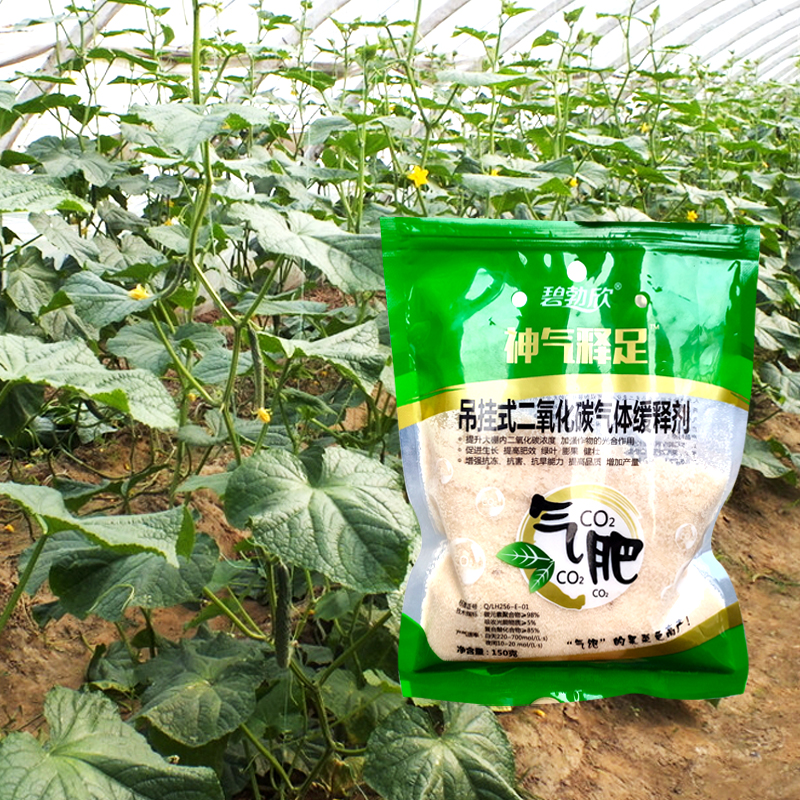 大棚草莓蔬菜黄瓜花专用吊袋式二氧化碳气肥增长剂气体肥料发生剂