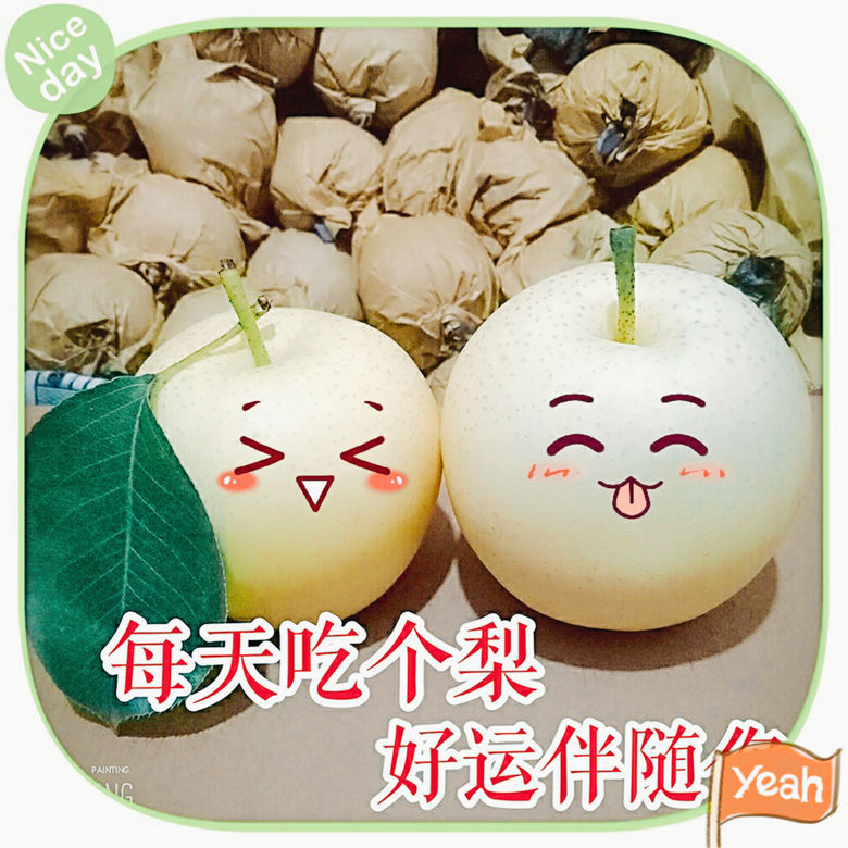 河北正宗皇冠梨子新鲜10斤水果鸭梨雪梨砀山梨翠冠梨当季整箱