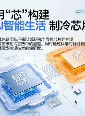 USB/220V New Car Mini Fridge Portable Compact Refrigerator