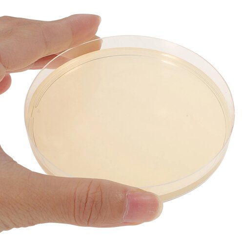 10 Pcs Lb Agar Plate Petri Dish Prepoured Agar Plates Exper