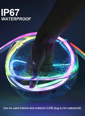 RGBIC WS2812 Neon LED Strip Light USB Waterproof Fantasy Dr
