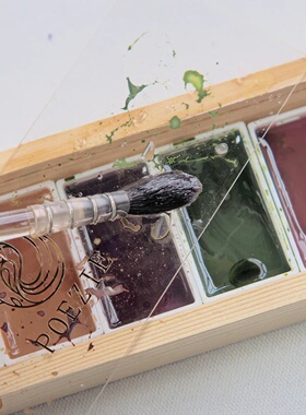 6/12 Colors Solid Watercolor Set Pigmento Art Supplies Trad