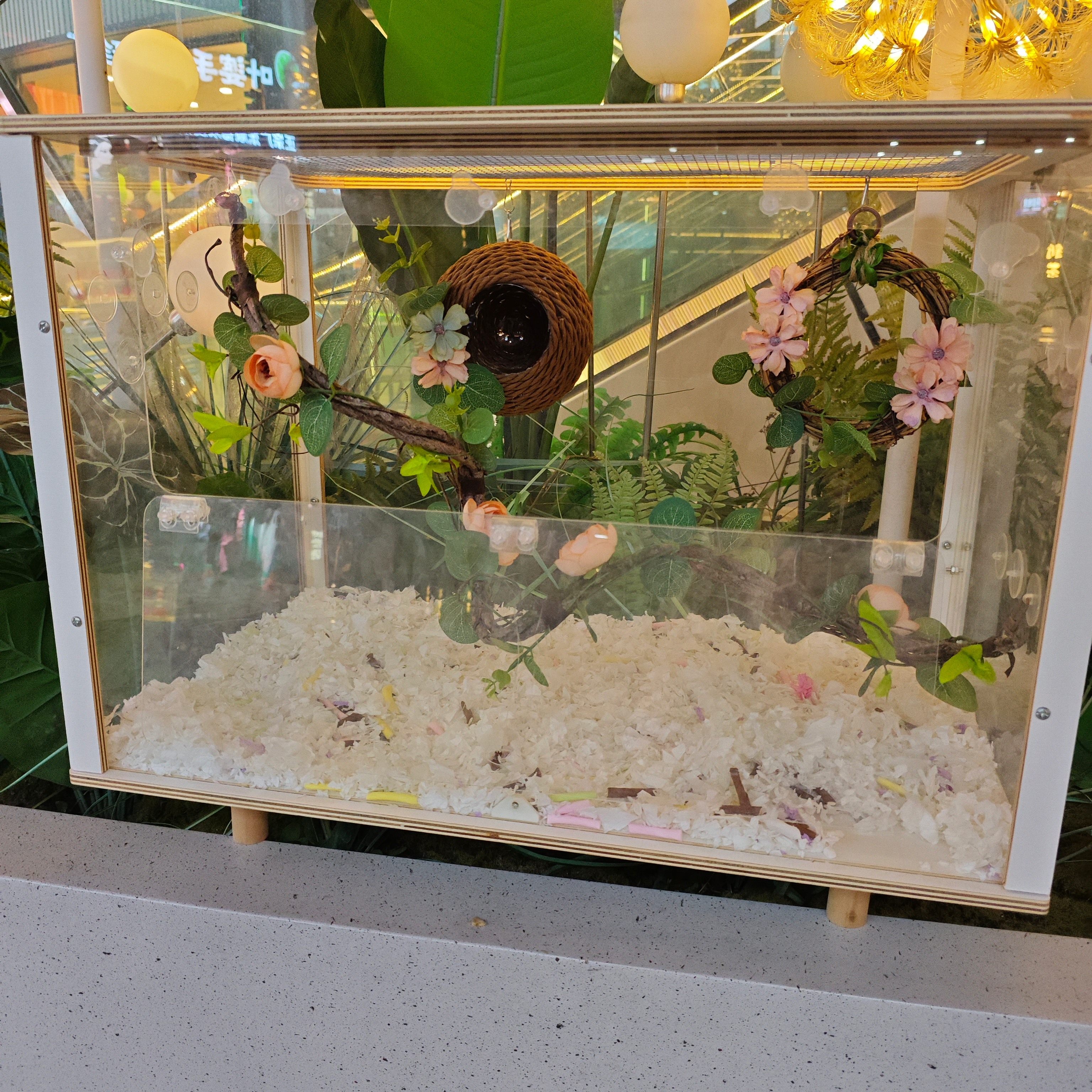 【如画】虎皮牡丹鹦鹉笼子造景玄凤玩具用品站杆爬梯秋千吊篮吊环,宠物/宠物食品及用品,鸟玩具,淘宝优惠券,粉丝福利购,淘宝优惠卷