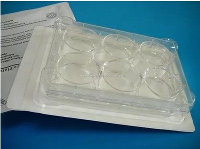 适用于细胞贴壁培养/经过表面特殊TC处理/培养板独立吸塑盒包装