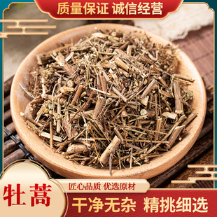 牡蒿中药材牡蒿500g包邮 正品新鲜干货 齐头蒿 猴掌草 油蒿 牧高