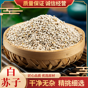 白苏子500g鸟食新货荏子大粒玉苏子 鹦鹉 金丝雀 芙蓉鸟 黄雀鸟粮