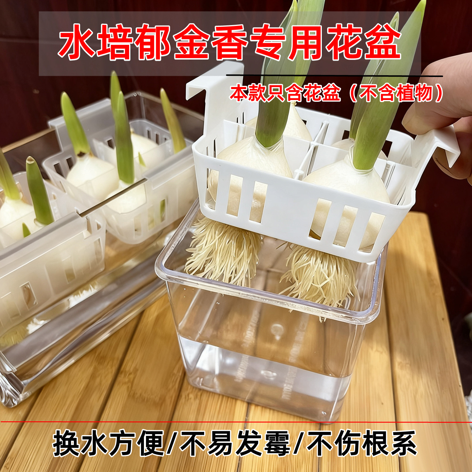 新款水培郁金香花盆含定植篮花瓶