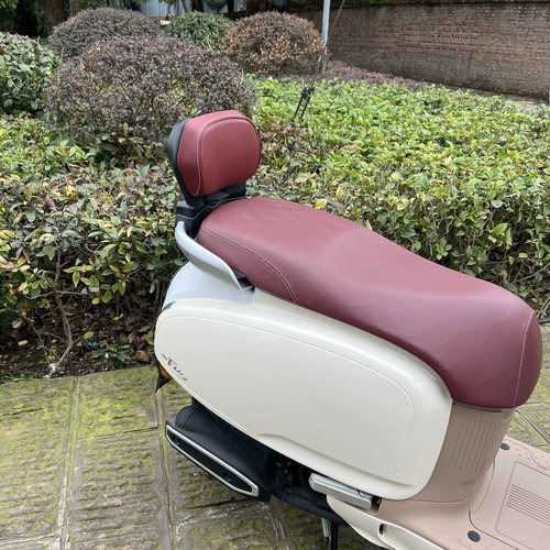 适用于五羊本田NWF125改装后靠背靠垫腰靠舒适高Q弹NWF125靠背