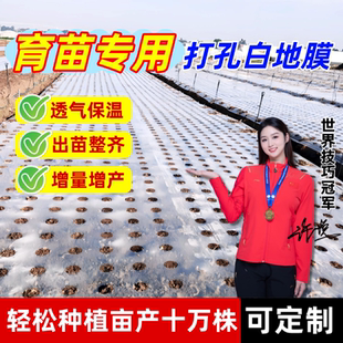 打孔白地膜农用种植种菜专用塑料膜保温保湿白色透明薄膜花生蔬菜