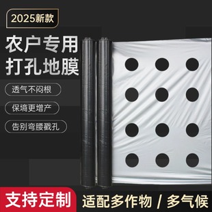 打孔地膜农用种植种菜专用银黑双色辣椒番茄小葱药材除草防虫保湿