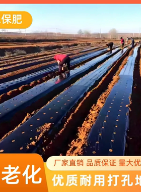 打孔黑色地膜除草保温保湿抗老化药材蔬菜辣椒朝天椒专用开孔地膜