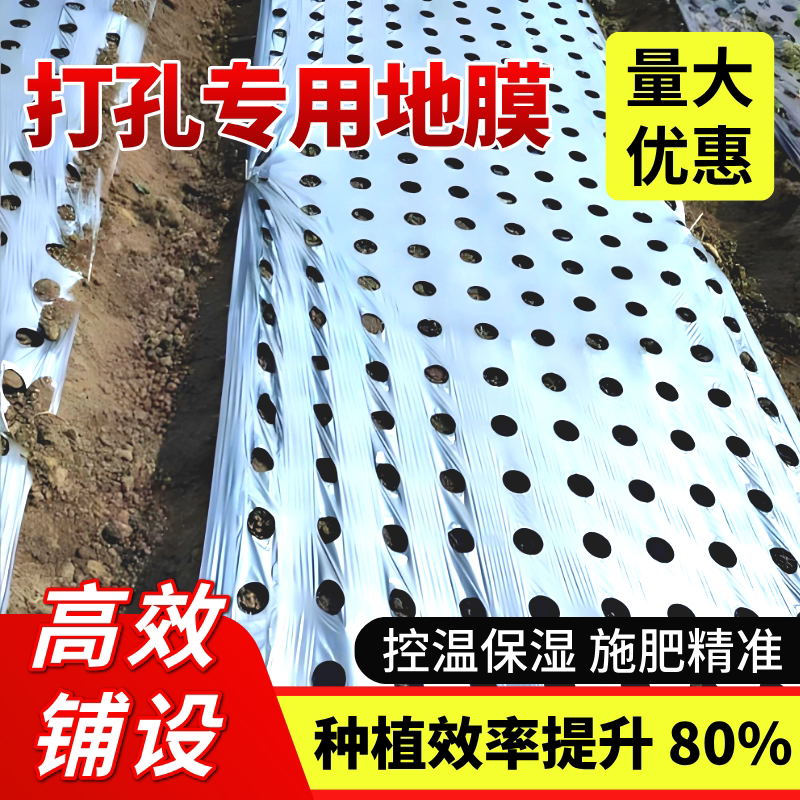 银黑双色反光开孔打孔地膜蔬菜药农用薄膜