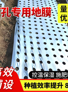 银黑双色反光开孔打孔地膜蔬菜药材不长草莓专用带孔地膜定制打孔
