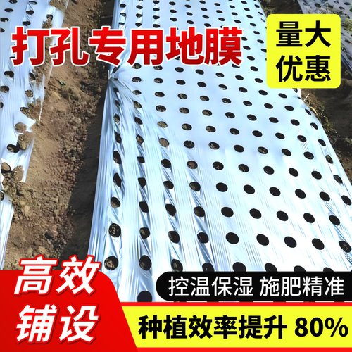 银黑双色反光开孔打孔地膜蔬菜药材不长草莓专用带孔地膜定制打孔