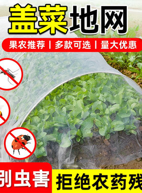 盖菜地网农用种植小青菜防虫网透气种菜遮阳白色大棚蔬菜专用纱网