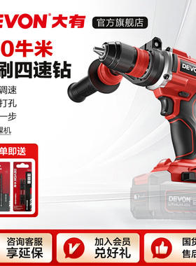 大有锂电四速电钻5289手持式电动螺丝钻工业快速充电手钻电动工具