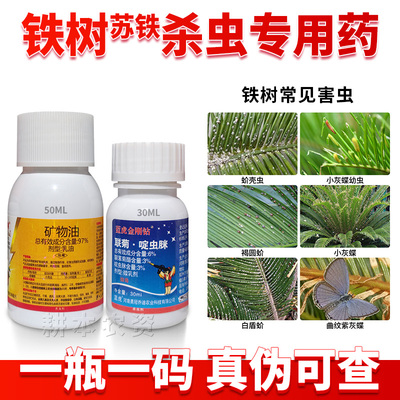 苏铁树蚧壳虫介壳虫专用杀虫剂药