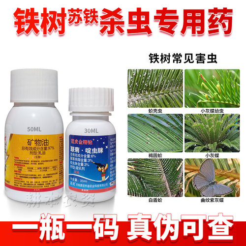 苏铁树蚧壳虫介壳虫专用杀虫剂药