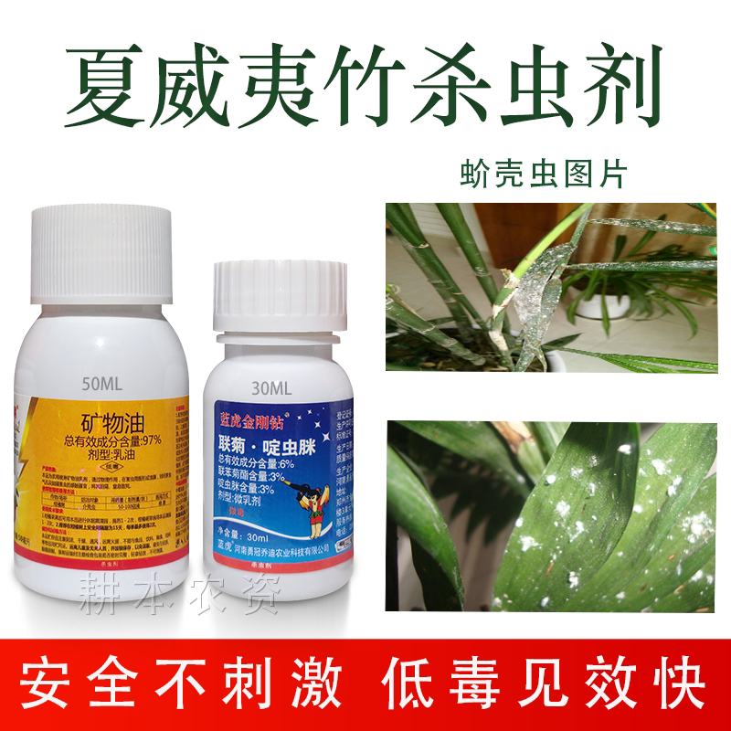 夏威夷竹子散尾葵蚧壳虫介壳虫专用药蚧杀杀虫药小白虫花药绿植