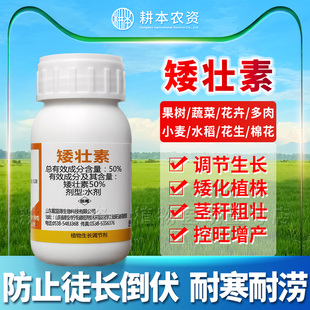 矮壮剂植物草坪矮壮素菊花通用花木水仙花卉多肉多效唑矮壮多效挫