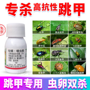 哒螨噻虫嗪跳甲叶甲专用杀虫剂药