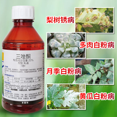 多肉绿植花卉瓜果蔬菜病虫害专用